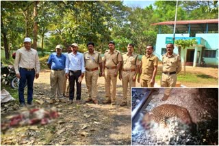 ಚಲಿಸುತ್ತಿದ್ದ ರೈಲಿಗೆ ಸಿಲುಕಿ ಮೃತಪಟ್ಟ ಚಿರತೆ