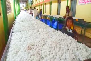 Ramanagara Silk Cocoon Market