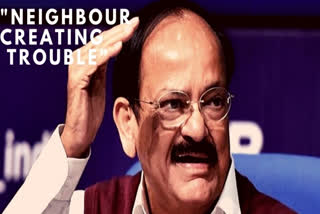 Vice President M Venkaiah Naidu  Pakistan  Jammu and Kashmir  രാജ്യത്ത് പ്രശ്നമുണ്ടാക്കുന്നത് അയല്‍ രാജ്യമെന്ന് വെങ്കയ്യ നായിഡു  ന്യൂഡല്‍ഹി  വൈസ് പ്രസിഡന്‍റ് എം. വെങ്കയ്യ നായിഡു.  രാജ്യത്ത് പ്രശ്നമുണ്ടാക്കുന്നത് അയല്‍ രാജ്യമെന്ന് വെങ്കയ്യ നായിഡു