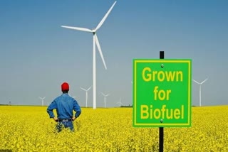 Biofuel production  New India  Diesel in castor  Bio Diesel in India