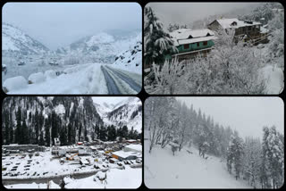 manali snowfall, ಮನಾಲಿ ಹಿಮಪಾತ