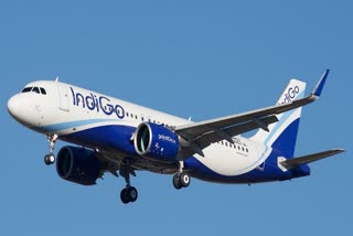 INDIGO