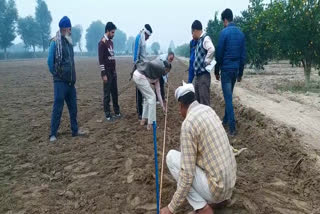 श्रीगंगानगर की खबर, Sriganganagar new,  चने में एक्सपेरिमेंट, Experiment in gram