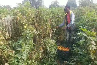 Demand for farmers on National Farmers Day