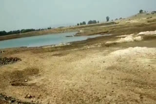 no water in the pond of dhilwar in narsinghpur