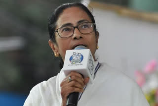 we-tripled-income-of-state-people-claims-mamata