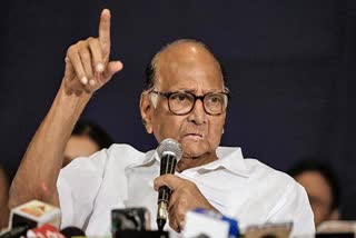 sharad pawar comment on zarkhand result