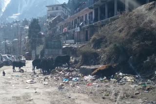 sanitation system in reckong peo