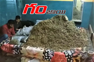 90 KGS OF GANJA  POSSESSION IN KAJEEPET