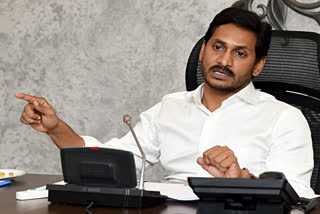 Andhra Pradesh CM