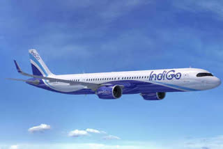 Indigo lateast offer