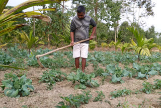 সীতাৰাম মালাৰ কৃষি বিপ্লৱ