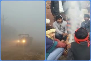 People are suffering from cold in rajakhera, People are suffering from cold and fog in rajakhera, rajakhera news, rajakhera alwar news, राजाखेड़ा अलवर न्यूज, राजाखेड़ा में सर्दी और कोहरा