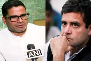 Officially say no to CAA in Congress ruled states Prashant Kishor to Rahul Gandhi