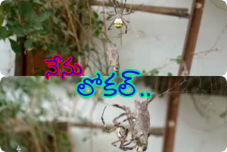 http://10.10.50.85:6060///finalout4/andhra-pradesh-nle/finalout/24-December-2019/5482313_spider.mp4