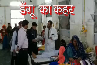 17 patients died, jaipur news, जयपुर न्यूज