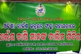 ବାଉଁଶ କାରୁକାର୍ଯ୍ୟରୁ ସ୍ବାବଲମ୍ବୀ ଚିନ୍ତା