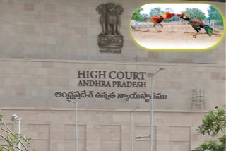 high-court-on-hen-compititions-in-ap