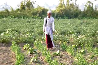 Tingkhong Woman Farmer