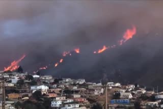 More than 80 houses were destroyed by a forest fire that engulfed the Chilean port city