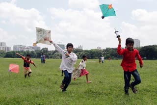 Rajasthan govt ban on chinese kite flying thread