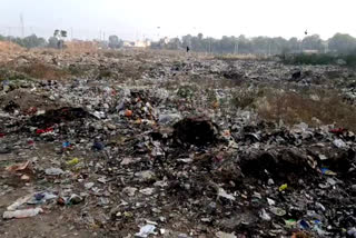 project to make electricity and biofuel from garbage in Sohna near gurugram