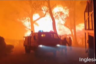 Australian authorities have warned that the fires in New South Wales could fester for months