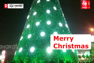 Highest Christmas tree Delhi
