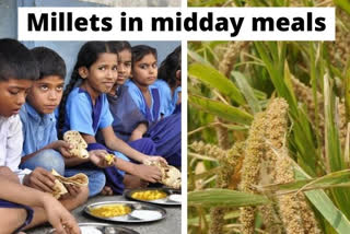 Millets in midday meals boost child growth