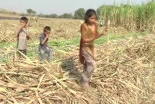 sugarcane-laborers-children-are-living-outside-the-school