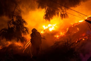 forest fire in chile