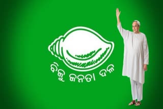 bjd foundation day