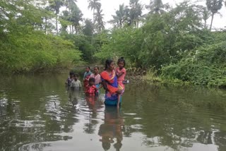 தண்ணீரால் சூழ்ந்துள்ள தச்சன்வயல் கிராமம்