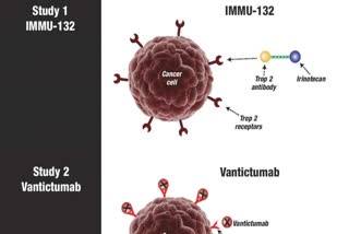 triple-negative breast cancer target