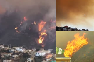 Helicopters in Chile douse fire that destroyed 120 homes