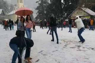 shimla  weather update