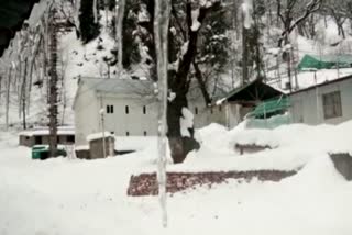 tourist enjoying Weather in Manali