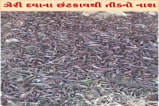 banaskantha