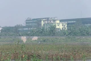 kamalpur paper mill