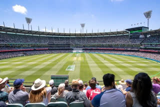 record-crowd-for-australia-new-zealand-test