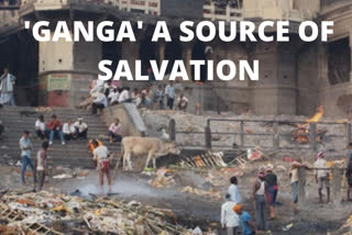 Ganga being polluted in search of salvation