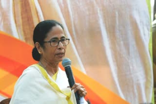 mamata