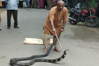 15 Feet long Snake Captured near Coimbatore