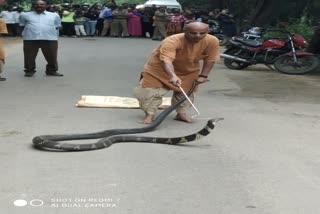 14 Feet long Snake Captured near Coimbatore cobra caught from coimbatore 14 feet long Cobra was caught in the city isha yoga centre കോയമ്പത്തൂരില്‍ 14 അടി നീളമുള്ള രാജവെമ്പാലയെ പിടികൂടി coimbatore