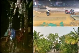 ರಾಜ್ಯದ ಹಲವೆಡೆ ವರುಣನ ಆರ್ಭಟ, Rain in various districts of Karnataka