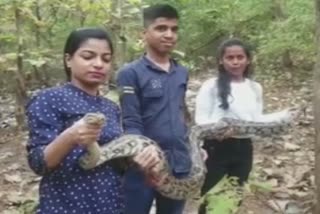 AJAGAR SNAKE