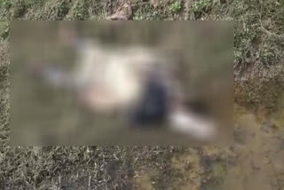 Dead body found in laborer's canal