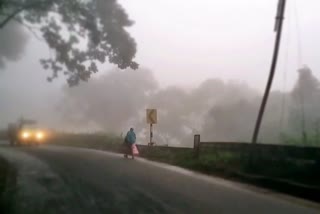 Nilgiri climate change heavy mist  கடும் குளிரால் பொதுமக்கள் இயல்பு வாழ்க்கை பாதிப்பு