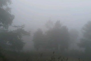 Cold in the tikanmgarh district has started falling