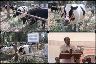 Livestock Show കന്നുകാലി പ്രദര്‍ശനം ക്ഷീര സംഗമം എറണാകുളം വാർത്തകൾ എറണാകുളംന്യൂസ് എല്‍ദോ എബ്രഹാം